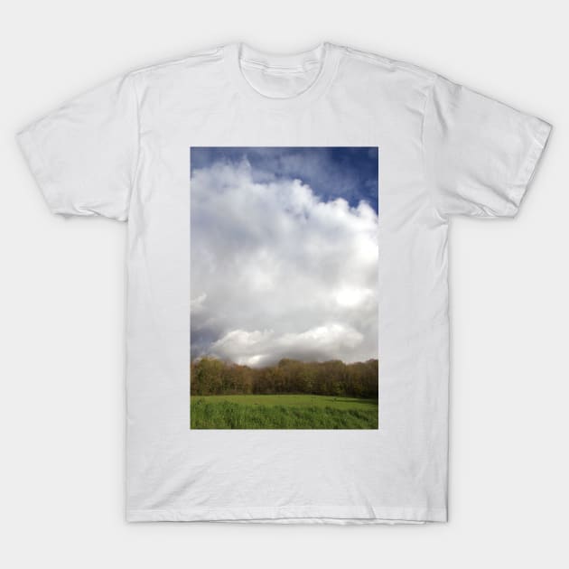 landscape3 T-Shirt by CATS ART